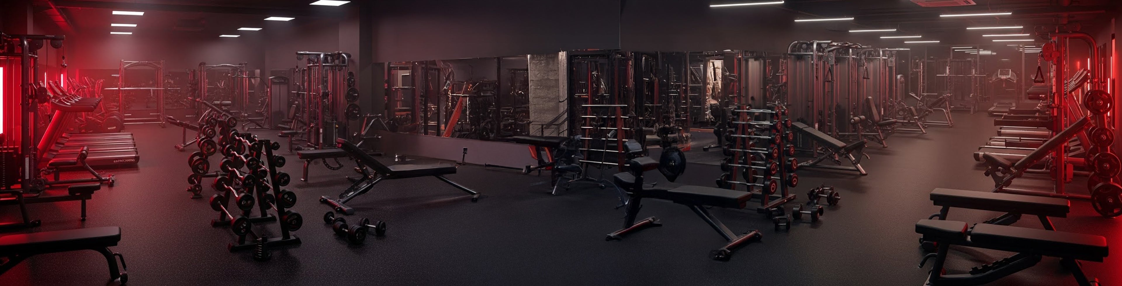 collection-banner-image